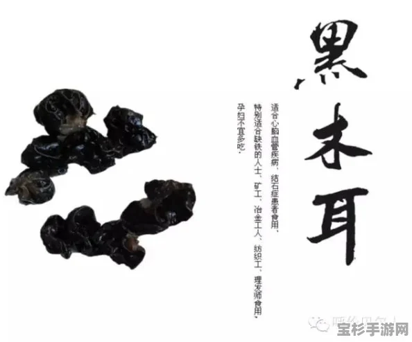 怎样挑选优质东北黑木耳？一份详尽的识别指南