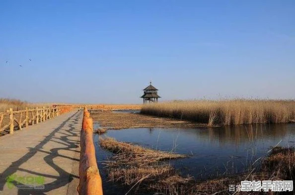 去东营旅游，这些必游景点你知道吗？带你领略东营的绝美风光
