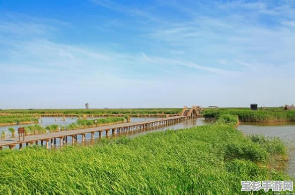 去东营旅游，这些必游景点你知道吗？带你领略东营的绝美风光