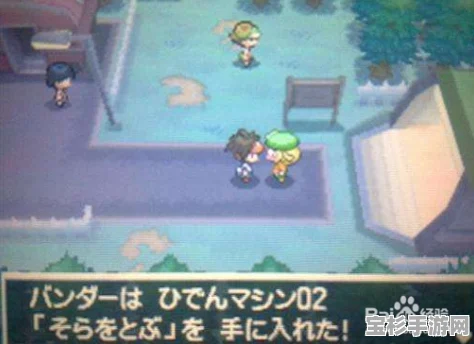 口袋妖怪黑白版，全面解析精灵组队策略与技巧