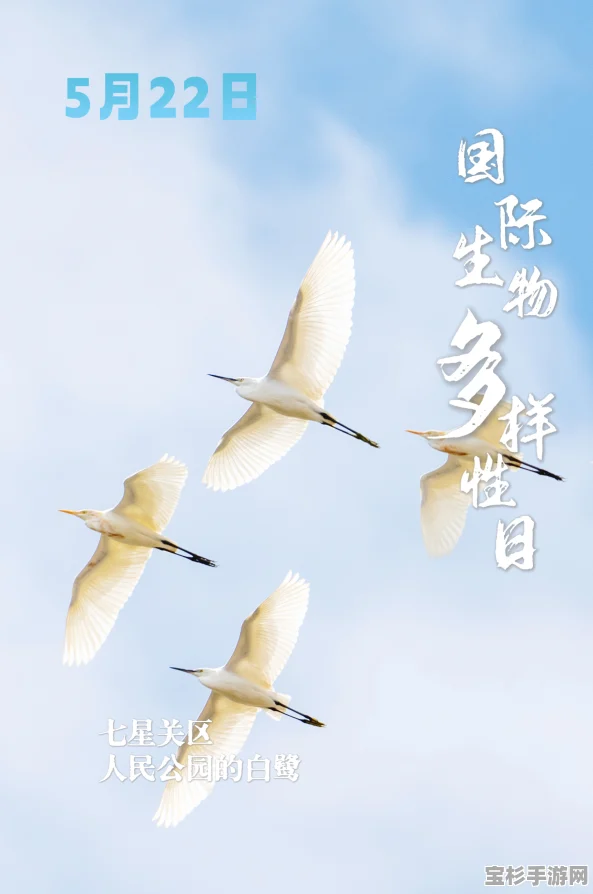 5.22 是什么节呀？揭秘国际生物多样性日的独特魅力
