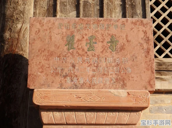 无相之雷怎么打？掌握技巧，轻松击败高级雷元素生命