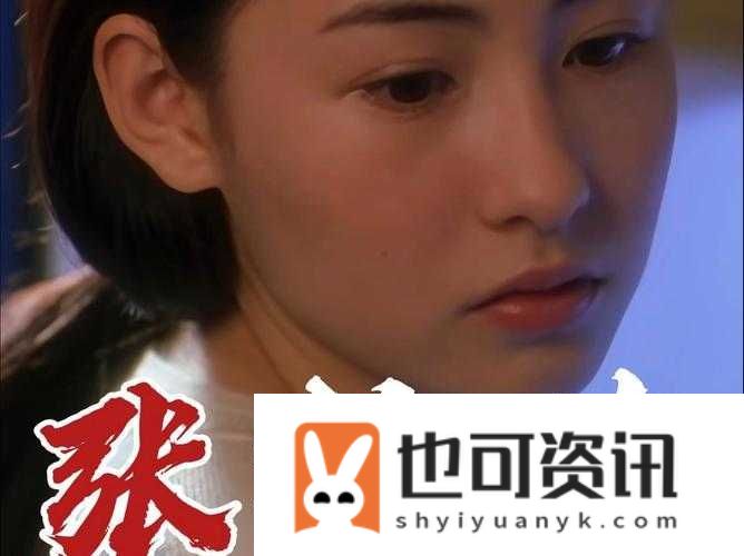 张柏芝电脑维修录像大全