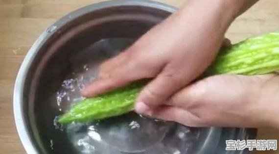 怎样做出清爽可口的凉拌苦瓜？一份详细指南带你领略夏日清凉