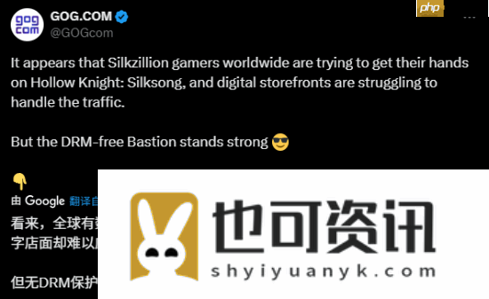空洞骑士