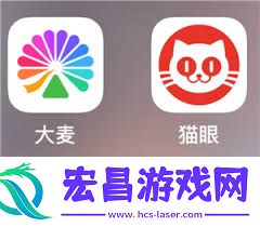 猫眼抢票攻略与技巧