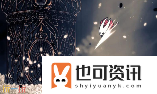 花芯囊使用效果介绍