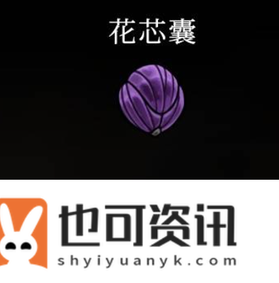 花芯囊使用效果介绍