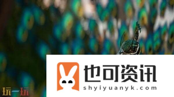 of-Thanjai预告公布