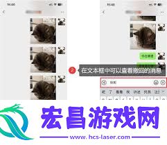 苹果微信如何查看撤回的信息