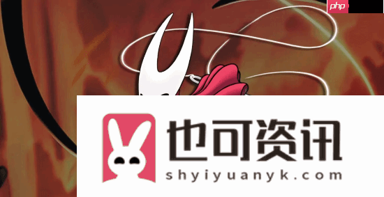 空洞骑士