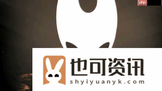 外媒给空洞骑士