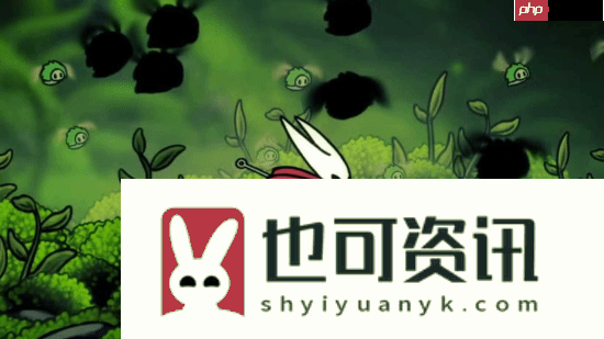 空洞骑士