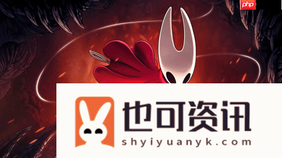外媒称空洞骑士