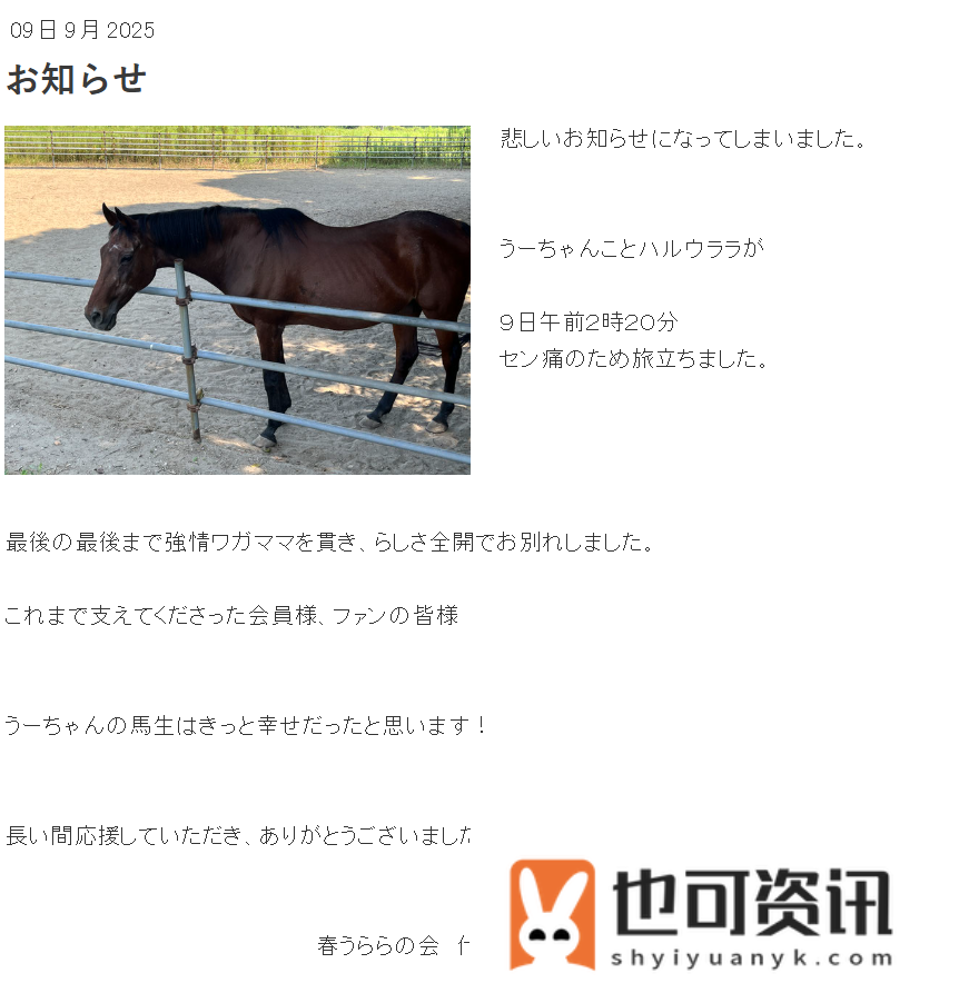 春乌拉拉最后一篇日记记载了对粉丝的感谢