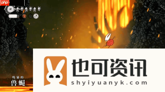 空洞骑士