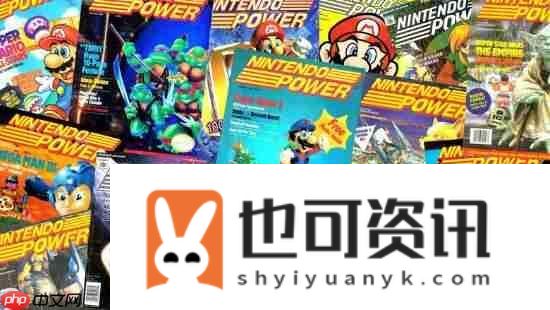 任天堂前本地化经理