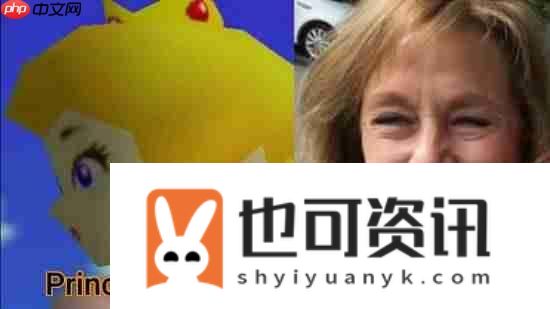 任天堂前本地化经理