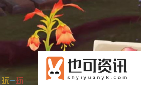 悼灵花采集路线分享
