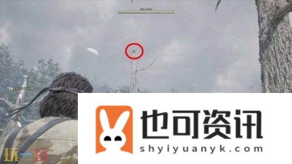 罗高博伊小黄鸭在哪