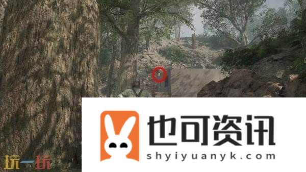 波尔夏亚帕斯托小黄鸭收集