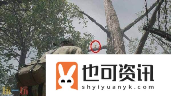 波尔夏亚帕斯托小黄鸭收集