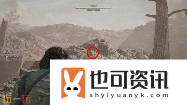 波尔夏亚帕斯托小黄鸭收集