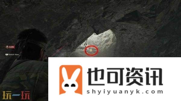乔鲁纳亚毗契拉小黄鸭在哪