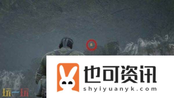乔鲁纳亚毗契拉小黄鸭在哪