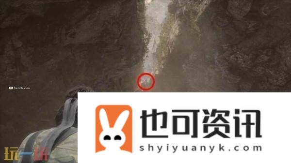 乔鲁纳亚毗契拉小黄鸭在哪