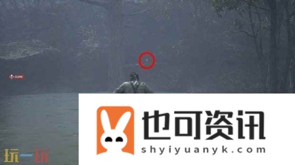 乔鲁尼普鲁特小黄鸭在哪
