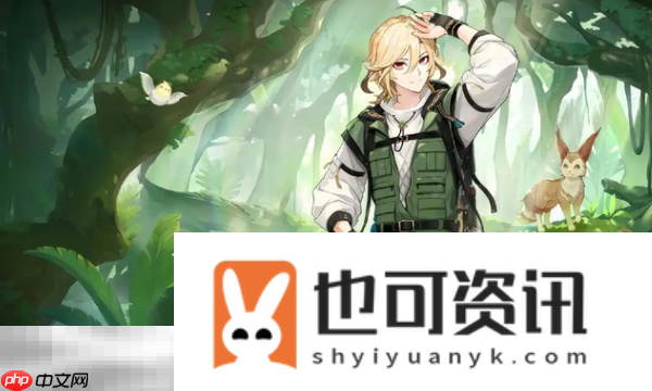 卡维配队大全
