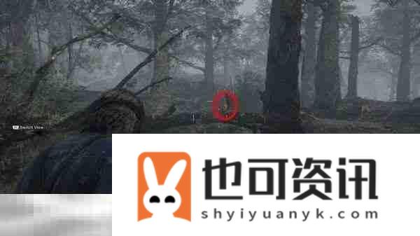 拉索雷博小黄鸭在哪