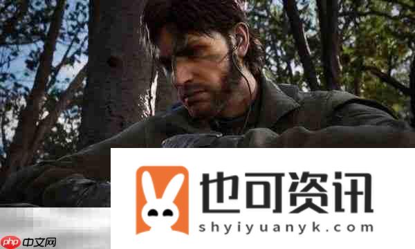 拉索雷博小黄鸭在哪
