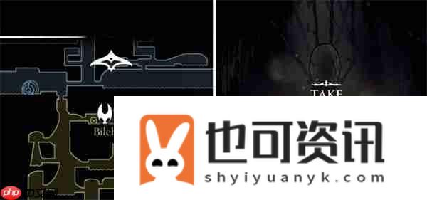空洞骑士丝之歌灵丝与灵魂任务怎么解锁