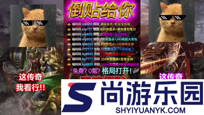 神龙战士可以赚钱吗