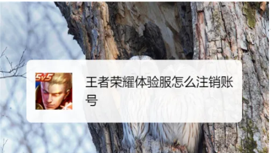 王者荣耀体验服怎么注销账号-王者荣耀体验服怎么注销