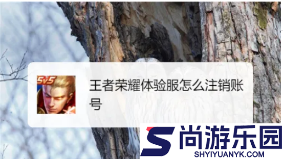 王者荣耀体验服怎么注销