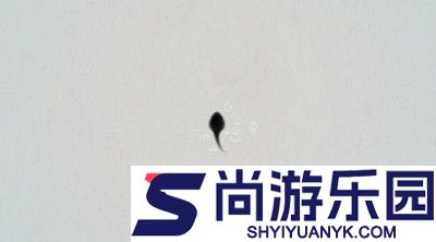 神龙召唤兑换码大全最新