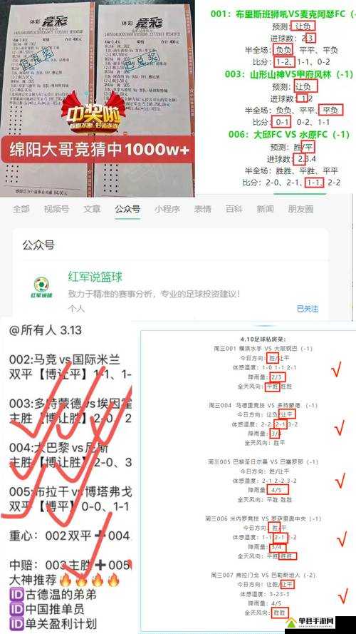 涵艺赛果预测:关于未来赛事结果的深入剖析与探讨