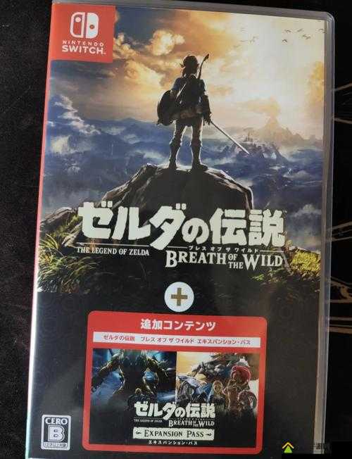 塞尔达传说,荒野之息游戏中文字幕与字体设置详细全攻略