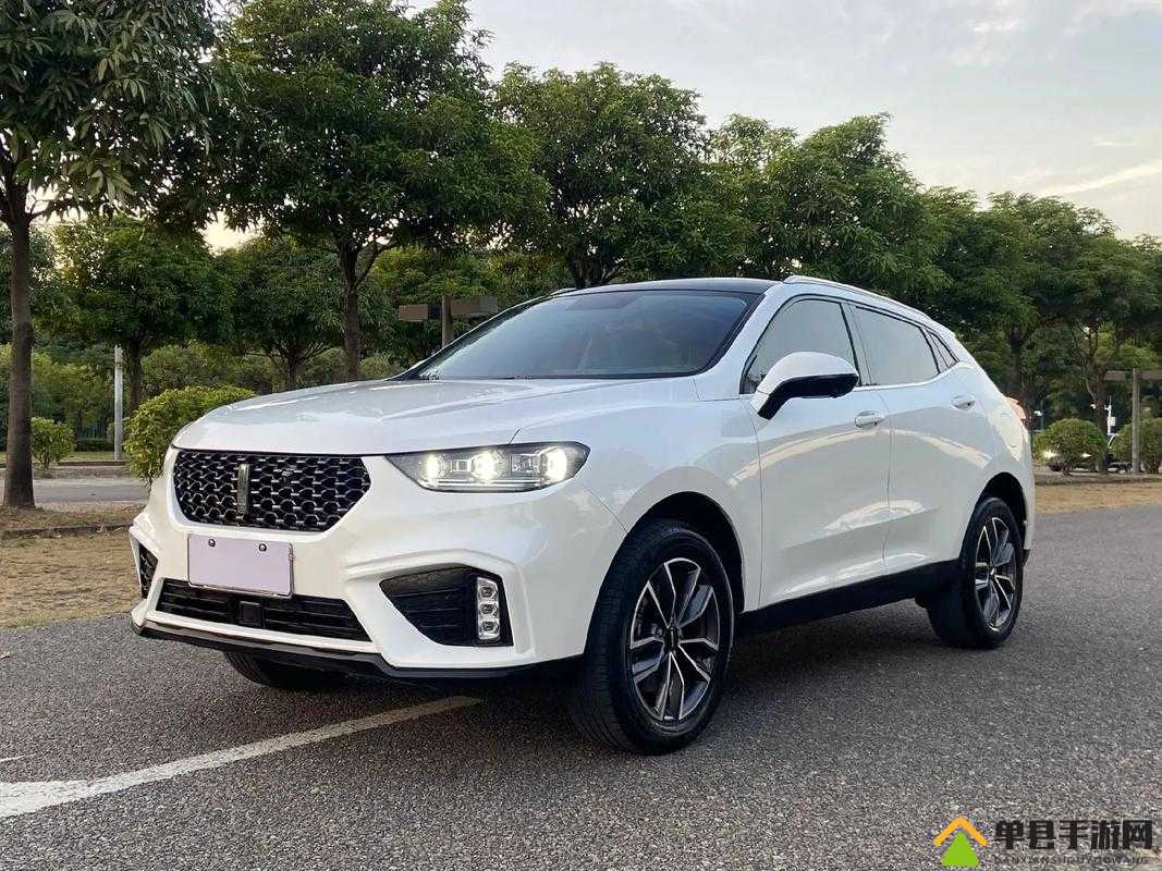 # WEY VV5 国产 SUV:颜值与实力并存 #