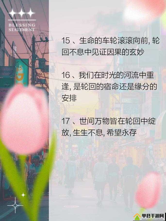 前中后三人循环,精彩轮换永不落幕