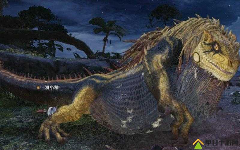 怪物猎人世界,深入解析大凶豺龙掉落物品与贼龙素材获取攻略