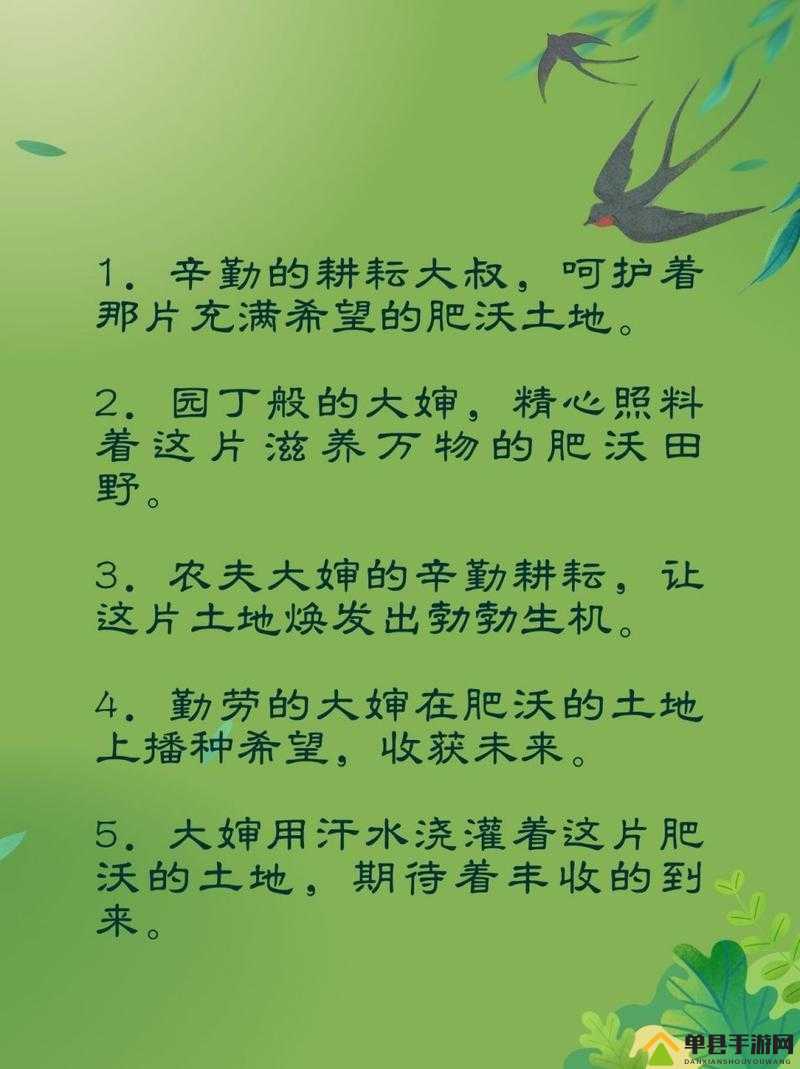 在大婶肥沃的土地上耕耘,挥洒汗水与希望