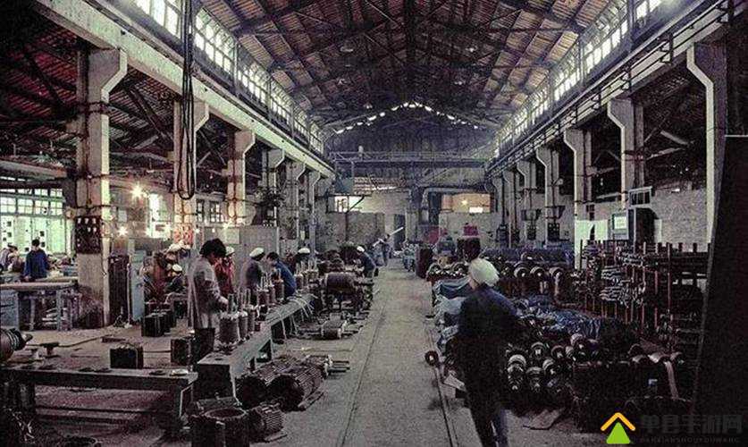 九一果冻制品厂杨柳的日常工作与发展历程