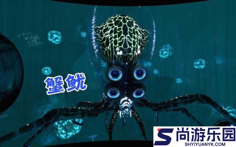 深海迷航探险指南