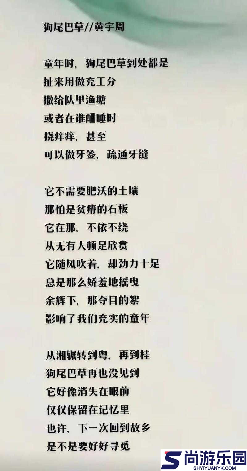 小草回家永不迷路