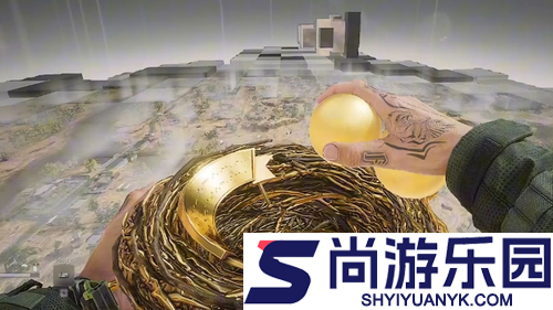 三角洲行动黄金鸟窝什么时候结束