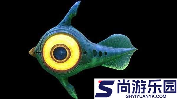 深海迷航探索指南